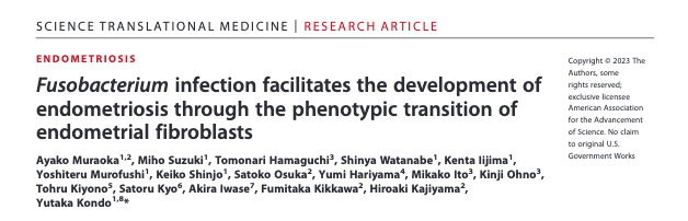 Onderzoek naar de oorzaak van endometriose: Fusobacterium? - Video thumbnail